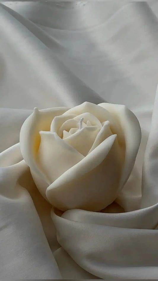 Rose Magic